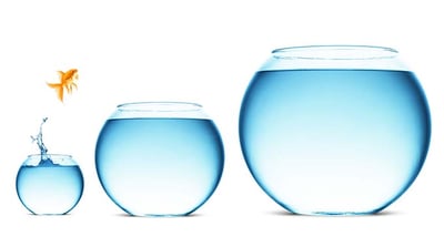 Managing Liquidity: Exploring Options for Loan Demand and Deposit Run-Off through External Funding